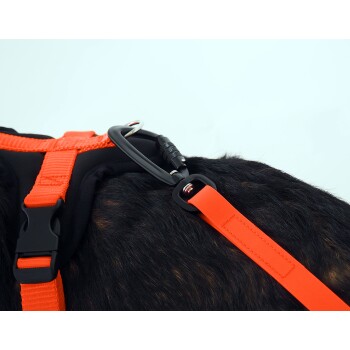Nahaufnahme des Rückens eines schwarzen Hundes mit einem orangefarbenen Geschirr und einer Leine, die den stabilen Clip und die Schnallendetails zeigt.