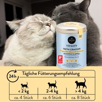 Zwei Katzen, die sich liebevoll aneinander schnüffeln, neben einem Behälter mit 'Puja Cat Vitality Teeth Cracker'-Snack, mit Fütterungsempfehlungen darunter.
