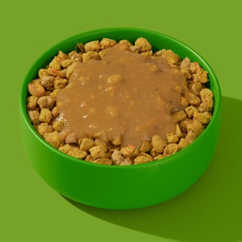 Eine grüne Futterschüssel für Haustiere, gefüllt mit trockenem Futter, das mit einer dicken, braunen, gravyartigen Sauce bedeckt ist, vor einem hellgrünen Hintergrund.