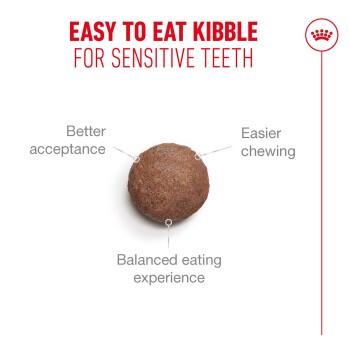 Easy to eat kibble for sensitive teeth with better acceptance, easier chewing, and balanced eating experience.
