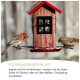 Teller mit gemischtem Tierfutter mit Mehlwürmern, Hafer, Erdnüssen, Hirse, Sonnenblumenkernen, Rosinen, Weizenflocken, Cardy und Hanf.
