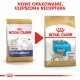 Obraz dwóch toreb karmy dla psów Royal Canin dla chihuahua, jedna oznaczona "Junior", a druga "Puppy", prezentująca nowe opakowanie i ulepszoną formułę.
