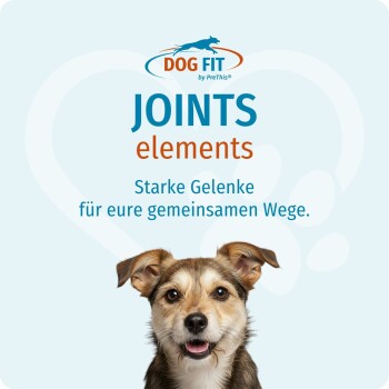 Dog FIT Anzeige: JOINTS Elements mit deutscher Zeile 'Starke Gelenke...'; braune Hundeohren und Brust sichtbar