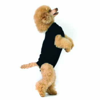 Hundebody Recovery Suit schwarz XXXS