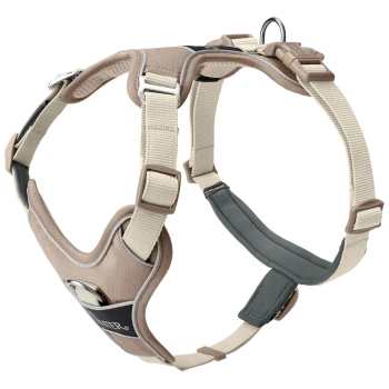 Beige und graues verstellbares Hundegeschirr mit gepolstertem Brust- und Rückensupport, mit einem Metall-D-Ring zur Leinenbefestigung.