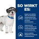 Ein kleiner schwarz-weißer Hund mit einem blauen Halsband neben Text über die Vorteile von Haustierprodukten wie Gewichtsmanagement und Omega-3-Fettsäuren.