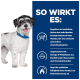 Ein kleiner schwarz-weißer Hund mit einem blauen Halsband neben Text über die Vorteile von Haustierprodukten wie Gewichtsmanagement und Omega-3-Fettsäuren.