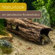 Aquarium-Rindenstamm-Versteck mit Flusskrebs und roten Kirschgarnelen auf Kies und Pflanzen; Texte 'Naturlook' und 'mit detailreicher Rindenstruktur'.