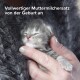 Eine Person, die sanft ein schlafendes graues Kätzchen hält, mit dem Text "Vollwertiger Muttermilchersatz von der Geburt an" darüber.