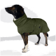 Ein brauner Hund trägt einen gemütlichen, übergroßen olivgrünen Hoodie und steht an einem sandigen Strand, mit hohem Gras und einem Pfosten im Hintergrund.
