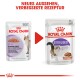 Zwei Royal Canin Katzenfutterbeutel mit neuem Design und verbesserter Rezeptur, mit dem Text "NEUES AUSSEHEN, VERBESSERTE REZEPTUR."