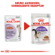 Zwei Royal Canin Katzenfutterbeutel mit neuem Design und verbesserter Rezeptur, mit dem Text "NEUES AUSSEHEN, VERBESSERTE REZEPTUR."