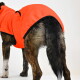 Ein Seitenprofil eines schwarz-braunen Hundes, der einen leuchtend orangefarbenen Fleece-Mantel vor einem weißen Hintergrund trägt.