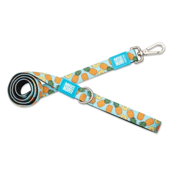 Blaue Hundeleine mit Ananas-Muster und „Max & Molly Urban Pet“ Anhängern, Metallverschluss und Ring.