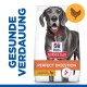 Hundefutterbeutel mit Hill's Science Plan für perfekte Verdauung, mit Huhn und braunem Reis, und einer Empfehlung von einem Tierarzt.