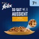 Braune Schüssel mit Felix Katzenfutter mit Hühnerstücken in Gelee, Text: "So gut wie es aussieht mit Huhn IN GELEE" und "7+ Jahre."