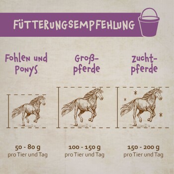 Fütterungsempfehlungstabelle für Pferde: Fohlen und Ponys (50-80g), große Pferde (100-150g), Zuchtpferde (150-200g) pro Tag.
