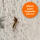 Nahaufnahme eines Moskitos an einer strukturierten Wand, mit einem orangefarbenen Kreis, der 'Effektiv gegen Ungeziefer aller Art' besagt.