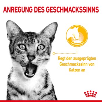 Sensory Smell Taste Feel Multipack in Soße 12x85 g