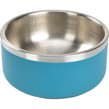 Eine Edelstahlschüssel für Haustiere mit einem lebhaften türkisfarbenen Äußeren, das ein glattes, glänzendes Inneres zeigt.