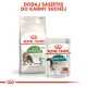 Karma dla zwierząt Royal Canin: worek suchej karmy dla kotów "Active Life Outdoor 7+" i saszetka mokrej karmy "Instinctive 7+", z polskim napisem.