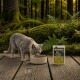 Gray cat drinking from beige bowl on a wooden deck in a mossy forest, next to a bag labeled "WILDERNESS True Country" cat food.