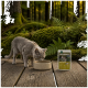 Graue Katze trinkt aus einer beigen Schüssel auf einer Holzterrasse in einem moosigen Wald, neben einer Tüte mit der Aufschrift 'WILDERNESS True Country' Katzenfutter