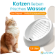 Rote Katze neben weißem Keramik‑Trinkbrunnen (1,5 Liter); sichtbarer Text: 'Katzen lieben frisches Wasser' und 'Lucky‑Kitty'.