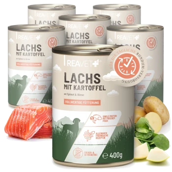 REAVET Tierfutterdosen mit Aufschrift „LACHS MIT KARTOFFEL“ (VOLLWERTIGE FÜTTERUNG, 400 g) mit Lachs, Kartoffeln und Spinat.