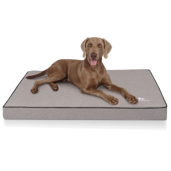 Ein brauner Hund liegt bequem auf einem grauen Haustierbett mit schwarzem Rand, mit dem Markennamen "HAPPELWUFF" an der Seite.