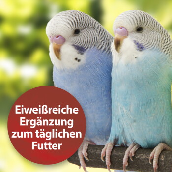 Zwei bunte Wellensittiche, die auf einem Ast sitzen, mit einem roten runden Etikett, das 'Eiweißreiche Ergänzung zum täglichen Futter' besagt.