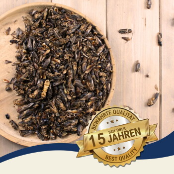 Getrocknete Insekten auf einem Holztablett mit einem goldenen Siegel mit der Aufschrift „Bewährte Qualität seit über 15 Jahren Best Quality.“