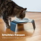 Nahaufnahme einer Katze, die aus einer modernen erhöhten Schüssel frisst, mit dem Text "Erhöhtes Fressen - rückenschonend & weniger Schlingen."