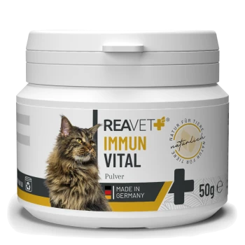 Behälter mit REAVET+ IMMUN VITAL Pulver für Katzen, mit einem Bild einer Maine Coon Katze, 50g, hergestellt in Deutschland, mit natürlichen Zutaten.