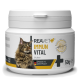 Behälter mit REAVET+ IMMUN VITAL Pulver für Katzen, mit einem Bild einer Maine Coon Katze, 50g, hergestellt in Deutschland, mit natürlichen Zutaten.