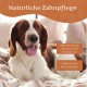 Ein glücklicher Hund mit einem braun-weißen Fell sitzt auf einem Bett, mit einem Textüberlagerung, der "Natürliche Zahnpflege" und Vorteile für die Zahngesundheit angibt.