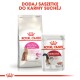 Opakowanie Royal Canin dla suchej karmy "Feline Preference Protein Exigent" i mokrej "Instinctive", z czerwonym logo korony i tekstem w języku polskim.