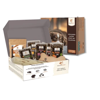 Wildfang Hundefutter Starterset mit verschiedenen Trockenfutterpackungen, einem knochenförmigen Spielzeug und Verpackung mit Hundegesicht und deutschem Text.