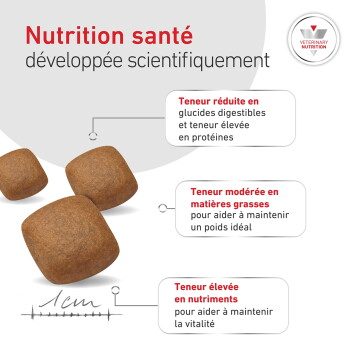 Trois croquettes brunes, titre français Nutrition santé, notes : glucides réduits, graisses modérées ; logo Veterinary Nutrition