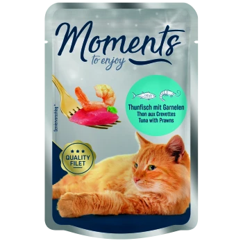 Torebka karmy dla kotów z tuńczykiem i krewetkami, widelec z jedzeniem i wylegujący się pomarańczowy kot. Tekst brzmi "Moments to enjoy" i "Quality Filet."