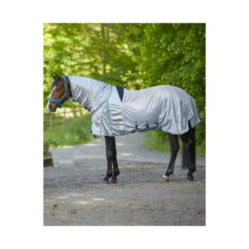Ein braunes Pferd, das eine silberne Schutzdecke trägt, steht auf einem Kiesweg, umgeben von Grün.