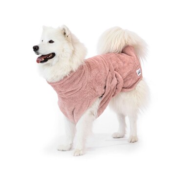 Ein flauschiger weißer Samojede, der ein weiches rosa Handtuch trägt, steht und lächelt vor einem weißen Hintergrund.