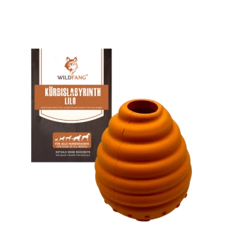 Oranges Gummihundespielzeug in Form eines Kürbisses, beschriftet mit "KÜRBISLABYRINTH LILO" von Wildfang, geeignet für alle Hunderassen.