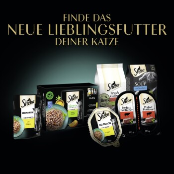 Bild von Sheba Katzenfutter: "Delikatessen", "Nature's Collection", "Fresh Cuisine", "Soup" und "Perfect Portions" mit Text zu neuen Favoriten.