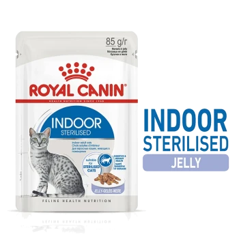 Royal Canin Indoor Sterilised cat food pouch featuring a gray tabby cat, labeled "85 g/r" and "Jelly," with health benefits highlighted.
