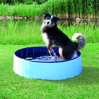 Een speelse zwart-witte hond staat in een blauwe kinderbad gevuld met water, omringd door groen gras en een natuurlijke achtergrond.