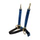 Blaues und schwarzes Haustiergeschirr mit goldenen Metallclips und Ringen, entworfen für sichere Befestigung und Komfort.