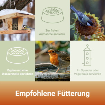 Vogelfütterungs-Collage: Futterspender, Meise an einer Sonnenblume, Rotkehlchen am Wasser, Symbole und der deutsche Text 'Empfohlene Fütterung'.