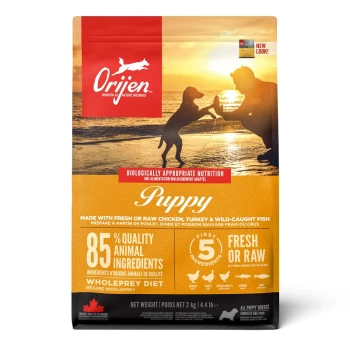 Puppy 2 kg Orijen Welpenfutterbeutel mit einer Silhouette eines Hundes und seines Besitzers am Strand, der '85% hochwertige tierische Zutaten' und 'frisch oder roh' hervorhebt.