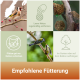 Collage von Vögeln auf Ästen und Vogelfutternetzen mit deutschem Text, der rät, leere Netze zu entfernen, vor Katzen zu schützen und im Garten oder auf dem Balkon aufzuhängen.
